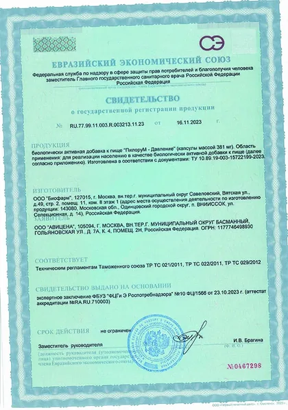 СГР «ПилорУМ — Давление» — 16.11.2023